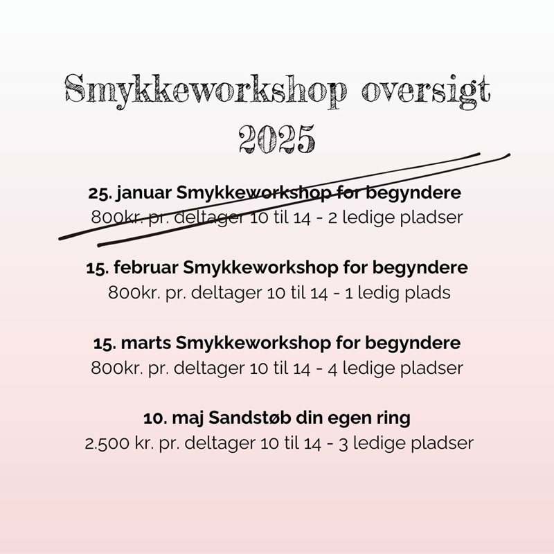 oversigt over workshops i 2025